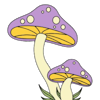 Psilocybin Online Store – Magic Mushrooms Online